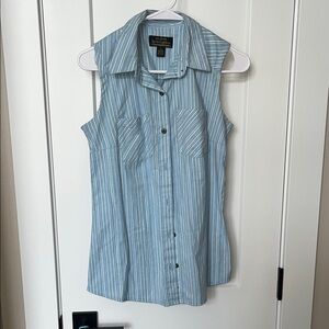 Blue Striped Button Down Shirt